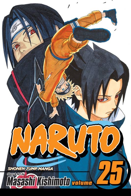 Naruto, Vol. 25 by Masashi Kishimoto