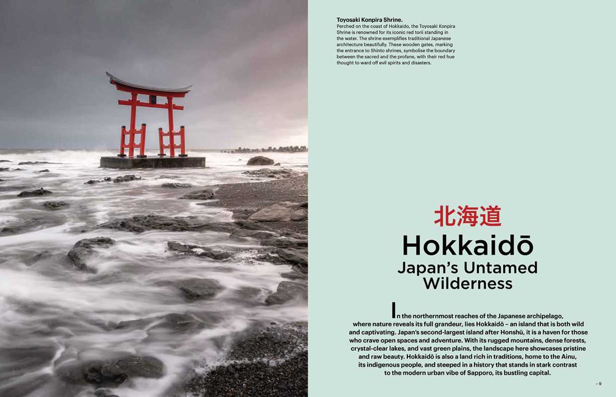 Eternal Japan by Nicolas Wauters