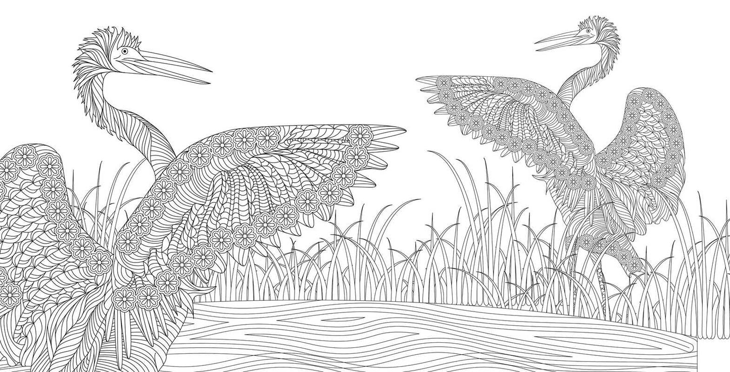 Zen Harmony Coloring Book