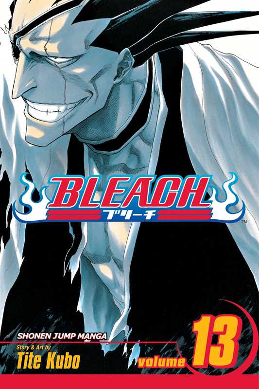 Bleach, Vol. 13 by Tite  Kubo