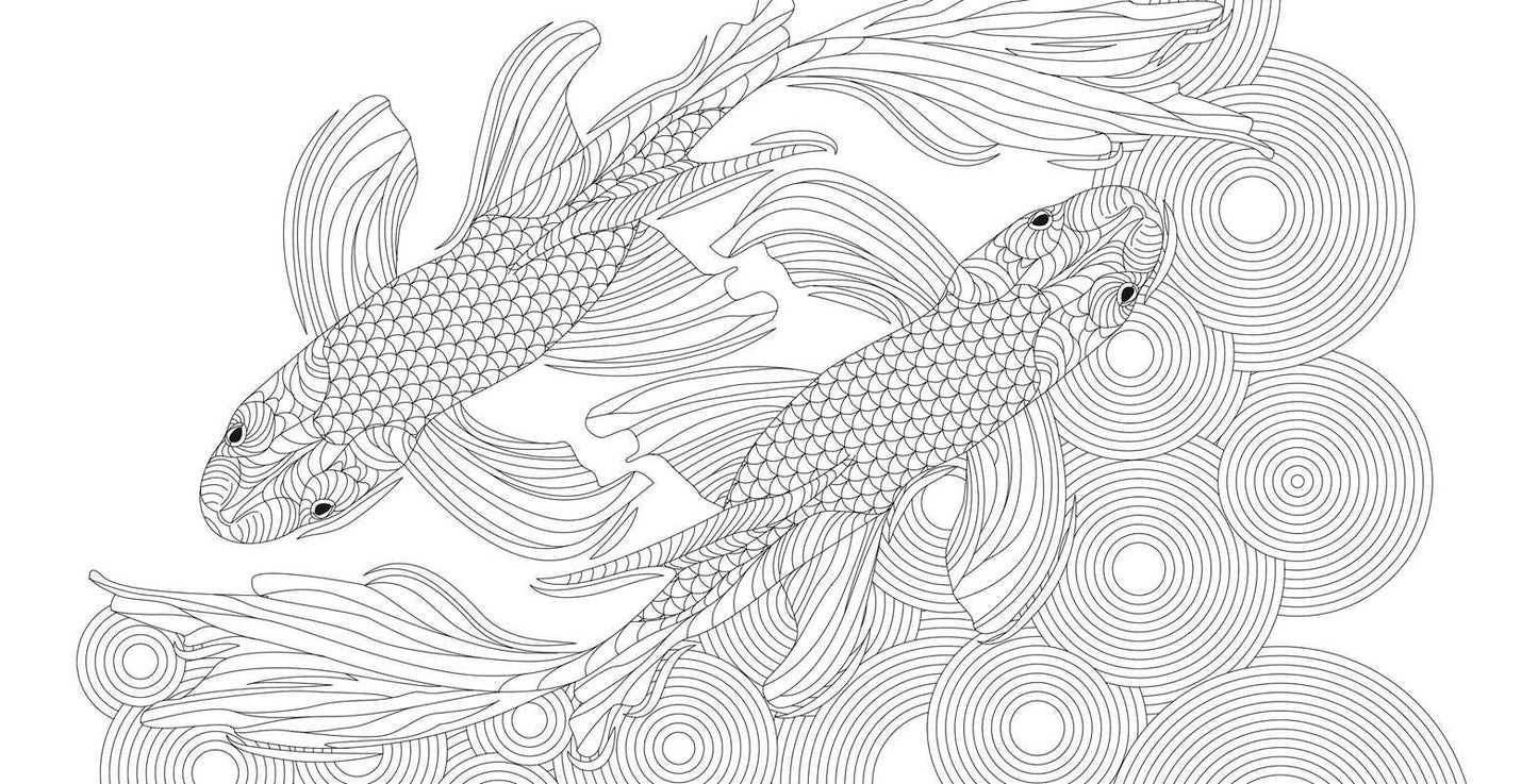 Zen Harmony Coloring Book