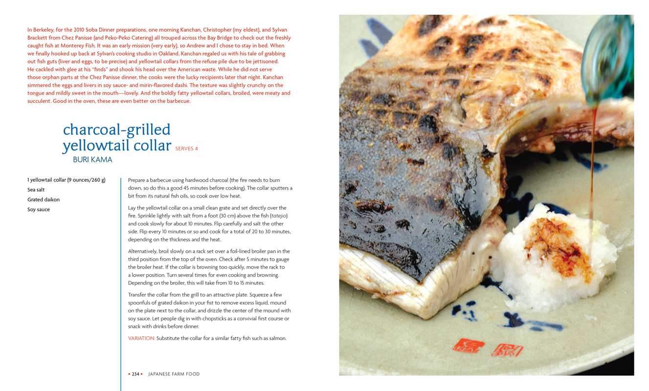 Japanese Farm Food by Nancy Singleton Hachisu