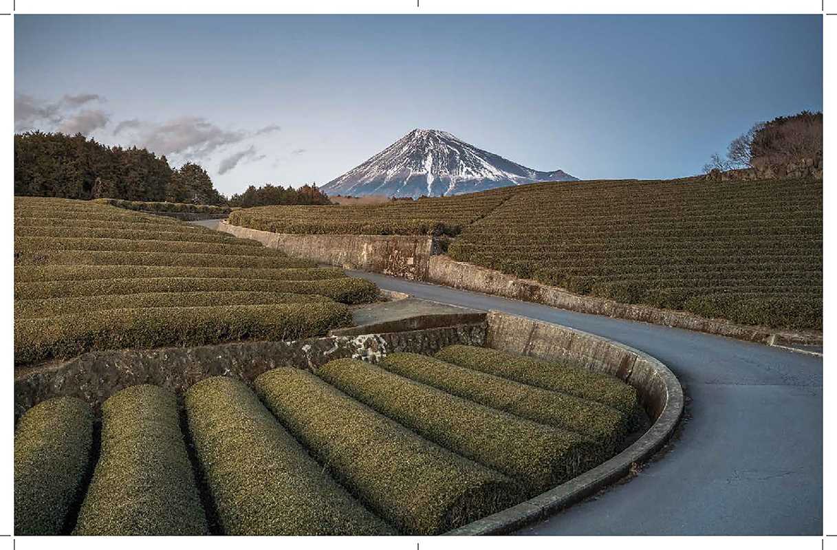 Eternal Japan by Nicolas Wauters