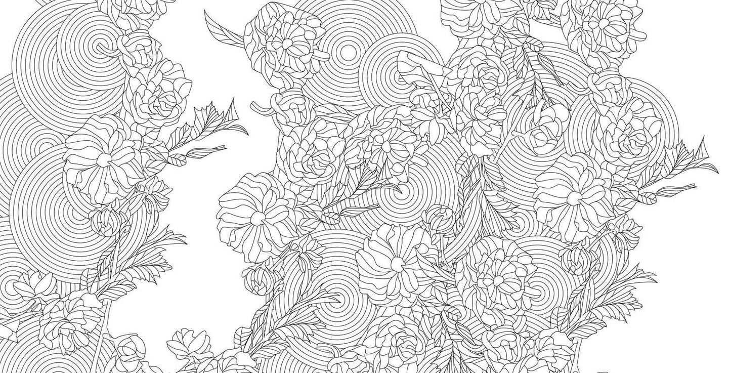 Zen Harmony Coloring Book